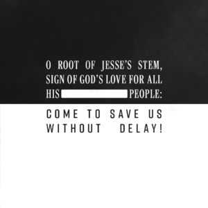 O Root of Jesse’s stem…