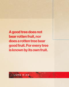 Luke 6:43