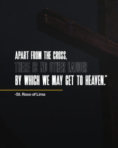 Apart from the cross…