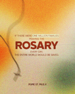 praying the Rosary every day