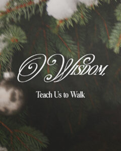 O Wisdom, Teach Us to Walk