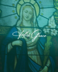 Solemnity of the Immaculate Conception