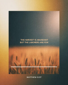 Matthew 9:37