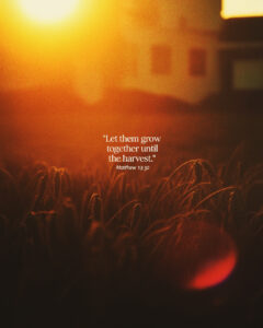 Matthew 13:30
